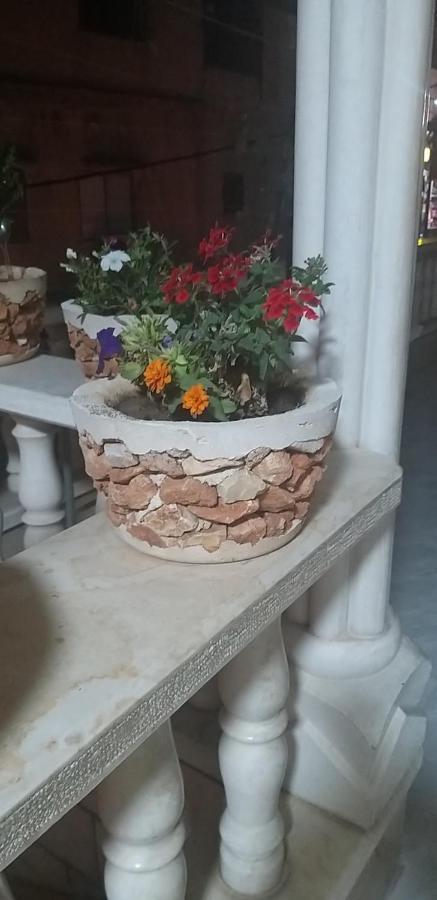 Zohara Villa Nahf ภายนอก รูปภาพ